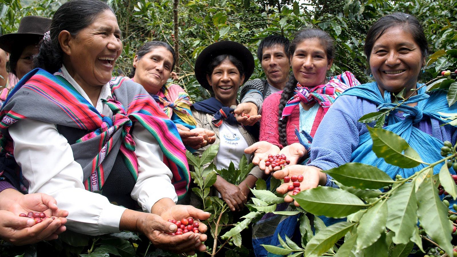 Coffee Growers of the Cooperativa Agraria Cafetalera Valle de Incahuasi in Peru